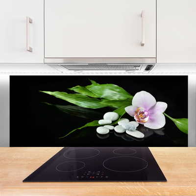 Painel vidro cozinha Pedras de flores Folhas