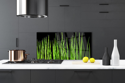 Painel vidro cozinha Planta de grama