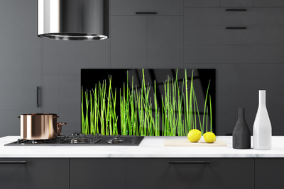 Painel vidro cozinha Planta de grama
