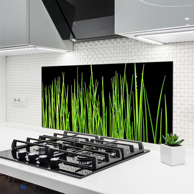 Painel vidro cozinha Planta de grama