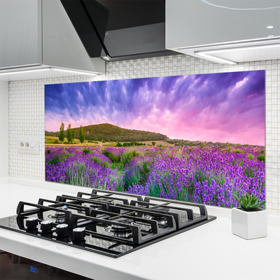 Painel vidro cozinha Flores do Prado Montanhas Natureza