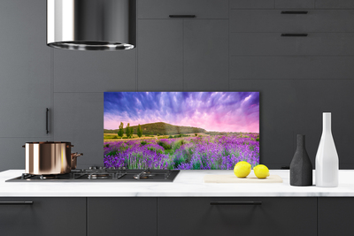 Painel vidro cozinha Flores do Prado Montanhas Natureza