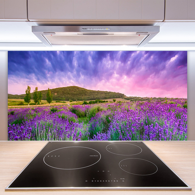 Painel vidro cozinha Flores do Prado Montanhas Natureza
