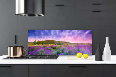 Painel vidro cozinha Flores do Prado Montanhas Natureza