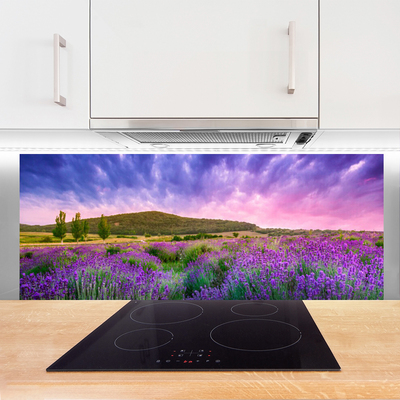 Painel vidro cozinha Flores do Prado Montanhas Natureza