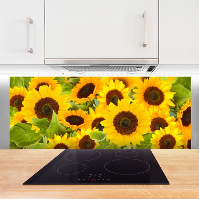 Painel cozinha Planta de girassol