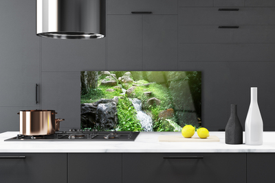 Painel vidro cozinha Grama de riacho Natureza Planta