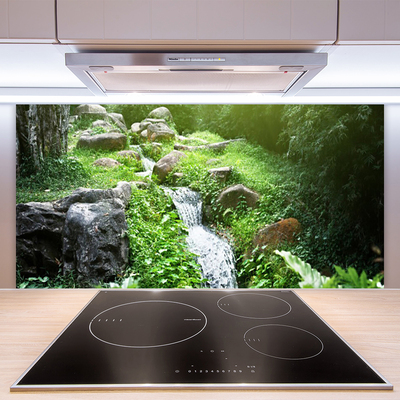 Painel vidro cozinha Grama de riacho Natureza Planta