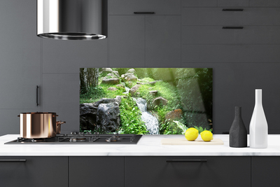 Painel vidro cozinha Grama de riacho Natureza Planta
