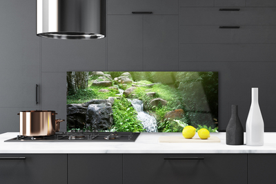 Painel vidro cozinha Grama de riacho Natureza Planta