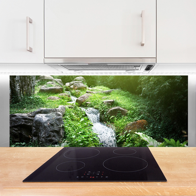 Painel vidro cozinha Grama de riacho Natureza Planta