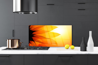 Painel cozinha Flor Planta Natureza