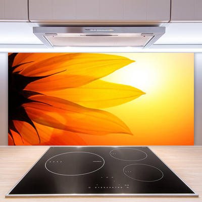 Painel cozinha Flor Planta Natureza