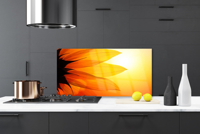 Painel cozinha Flor Planta Natureza