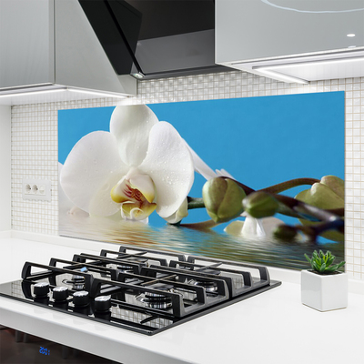 Painel cozinha Flor Planta Natureza