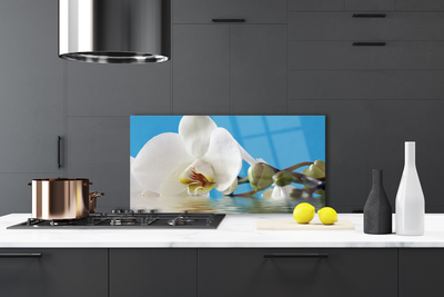 Painel cozinha Flor Planta Natureza