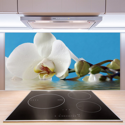 Painel cozinha Flor Planta Natureza