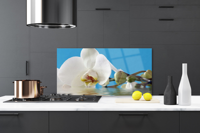 Painel cozinha Flor Planta Natureza