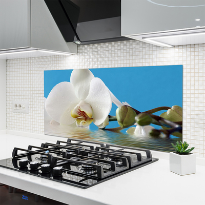 Painel cozinha Flor Planta Natureza