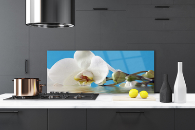 Painel cozinha Flor Planta Natureza