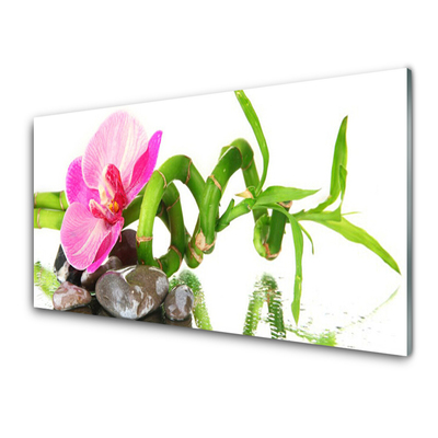 Painel cozinha Flor Planta Natureza