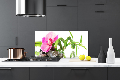 Painel cozinha Flor Planta Natureza