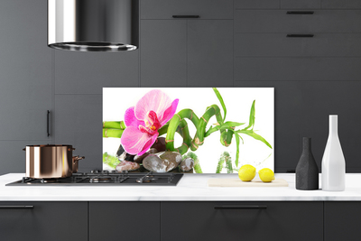 Painel cozinha Flor Planta Natureza