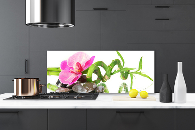 Painel cozinha Flor Planta Natureza