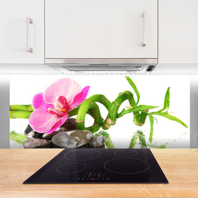 Painel cozinha Flor Planta Natureza