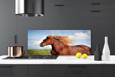 Painel vidro cozinha Animais Cavalos