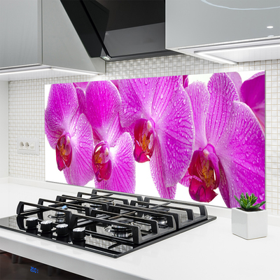 Painel cozinha Flores Planta Natureza