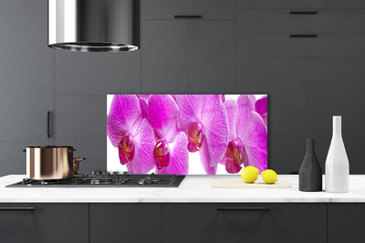 Painel cozinha Flores Planta Natureza
