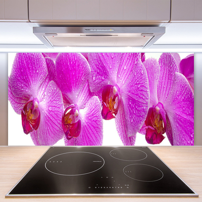 Painel cozinha Flores Planta Natureza