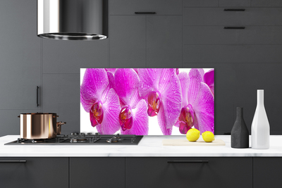 Painel cozinha Flores Planta Natureza