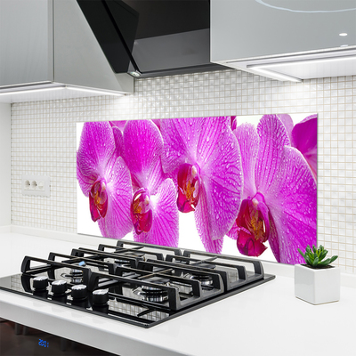 Painel cozinha Flores Planta Natureza