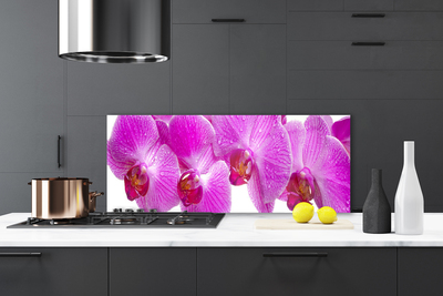 Painel cozinha Flores Planta Natureza
