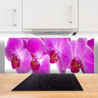 Painel cozinha Flores Planta Natureza