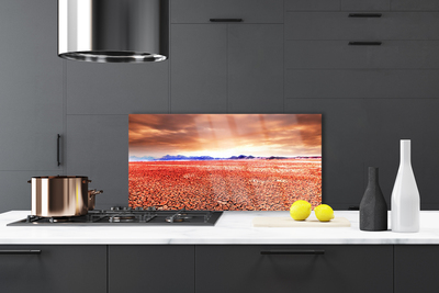 Painel vidro cozinha Paisagem desértica de areia