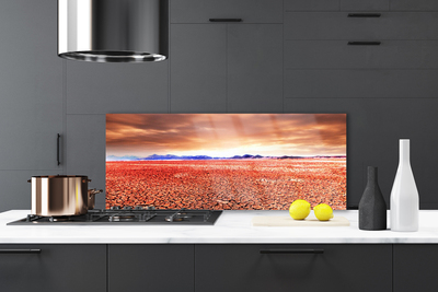 Painel vidro cozinha Paisagem desértica de areia