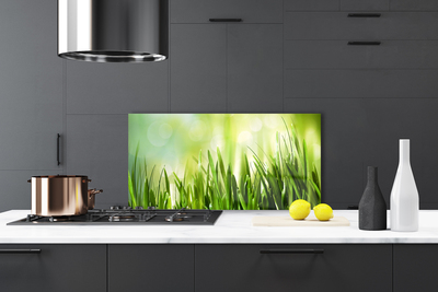 Painel cozinha Natureza da grama