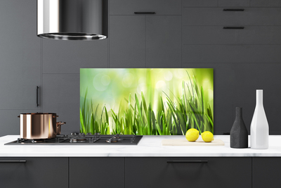 Painel cozinha Natureza da grama