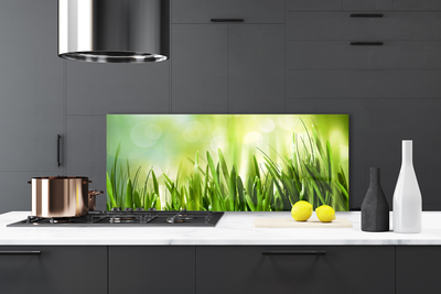 Painel cozinha Natureza da grama