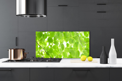 Painel cozinha Folhas da Natureza