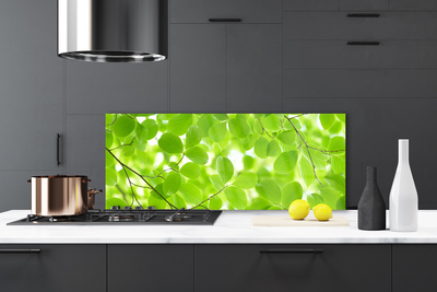 Painel cozinha Folhas da Natureza