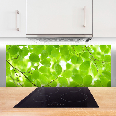 Painel cozinha Folhas da Natureza