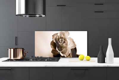 Painel vidro cozinha Planta de flor de rosa