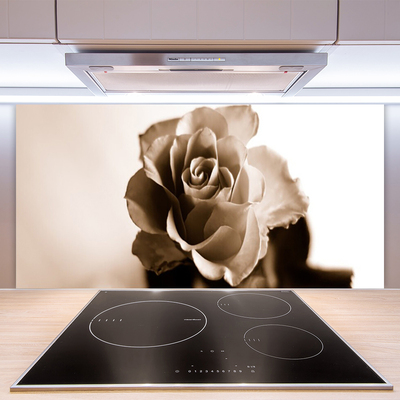 Painel vidro cozinha Planta de flor de rosa