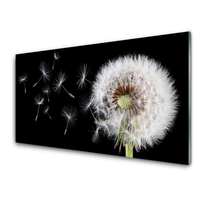 Painel cozinha Dente-de-leão