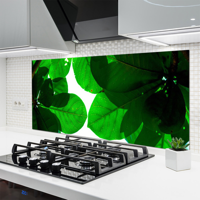 Painel vidro cozinha Folhas na Parede