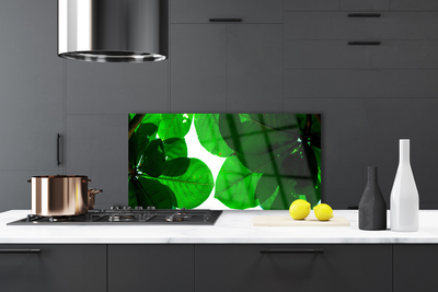 Painel vidro cozinha Folhas na Parede